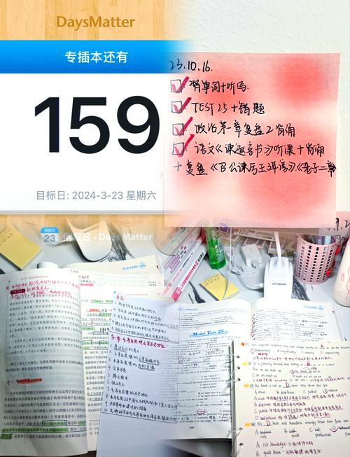 广东专插本要高中档案吗 广东专插本要高中档案吗